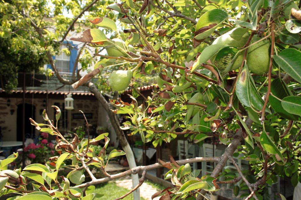 Istanbul Pension Ayvalik Exterior photo